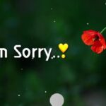 537+ Top Saying Sorry Status for Whatsapp Quotes in English Hindi Punjabi